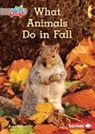 Katie Peters - What Animals Do in Fall