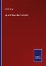 J. W. Palmer - Up and Down the Irrawaddi