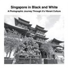 David Sechovicz - Singapore in Black and White