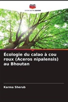 Karma Sherub - Écologie du calao à cou roux (Aceros nipalensis) au Bhoutan