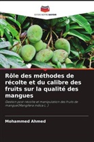 Mohammed Ahmed - Rôle des méthodes de récolte et du calibre des fruits sur la qualité des mangues
