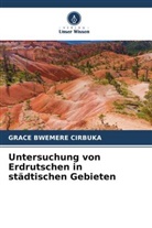 Grace Bwemere Cirbuka - Untersuchung von Erdrutschen in städtischen Gebieten