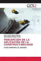 Israel Eduardo Miranda Torres, Marco Antonio Ramos Corella, José Alfredo Ramos Guilarte - PERCEPCIÓN DE LA APLICACIÓN DE LA CONSTRUCTABILIDAD