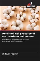 Abduvali Majidov - Problemi nel processo di essiccazione del cotone