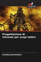 Elsadig Gamaleldeen - Progettazione di Intranet per scopi tattici
