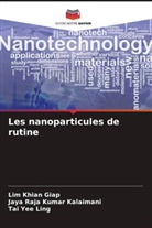 Jaya Raja Kumar Kalaimani, Lim Khian Giap, Tai Yee Ling - Les nanoparticules de rutine