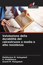 Anand M. Hulagabali, Mallikarjun M. Hulagabali, R. Prabhakara - Valutazione della durabilità del calcestruzzo a media e alta resistenza