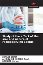 Amirouche Korichi Amel, Boudiaf Meriem, Zergat Samir - Study of the effect of the size and nature of radiopacifying agents