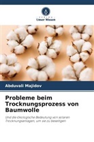 Abduvali Majidov - Probleme beim Trocknungsprozess von Baumwolle