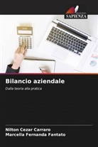 Nilton Cezar Carraro, Marcella Fernanda Fantato - Bilancio aziendale
