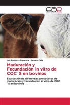 Genaro Calle, Luis Espinoza Siguencia - Maduración y Fecundación in vitro de COC´S en bovinos