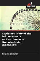 Eugeniu Smesnoi - Esplorare i fattori che influenzano la motivazione non finanziaria dei dipendenti