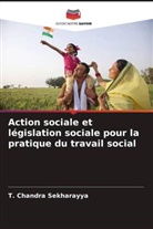 T. Chandra Sekharayya - Action sociale et législation sociale pour la pratique du travail social