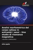 Ekta Gupta - Analisi morfometrica del corpo calloso in entrambi i sessi - Uno studio di risonanza magnetica