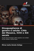 Mirna Isalia Zárate Zúñiga - Disuguaglianza di genere e salute: Città del Messico, XVIII e XIX secolo