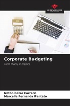 Nilton Cezar Carraro, Marcella Fernanda Fantato - Corporate Budgeting