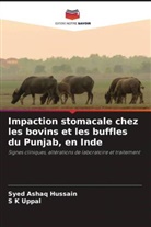 Syed Ashaq Hussain, S K Uppal - Impaction stomacale chez les bovins et les buffles du Punjab, en Inde