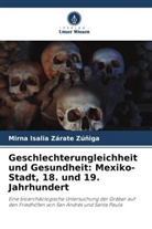 Mirna Isalia Zárate Zúñiga - Geschlechterungleichheit und Gesundheit: Mexiko-Stadt, 18. und 19. Jahrhundert