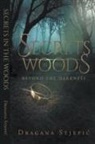 Dragana Stjepic - Secrets in the Woods