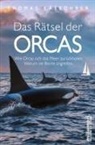 Thomas Käsbohrer - Das Rätsel der Orcas