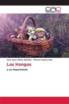 José Justo Mateo Sánchez, Alfonso Suarez Islas - Los Hongos
