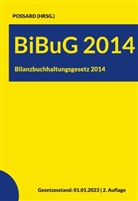 Marlon Possard - BiBuG 2014 (Bilanzbuchhaltungsgesetz 2014)