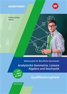 Jens Helling, Klaus Schilling - Mathematik für Berufliche Gymnasien Niedersachsen