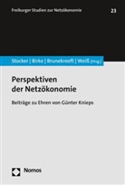 Franziska Birke, Gert Brunekreeft, Gert Brunekreeft u a, Volker Stocker, Hans-Jörg Weiß - Perspektiven der Netzökonomie