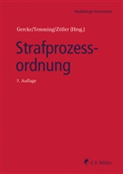 Heiko Ahlbrecht, Heiko (Prof. Dr.) Ahlbrecht, B, Wolfgang Bär, Wolfgang (Dr.) Bär, Katharina Beckemper... - Strafprozessordnung