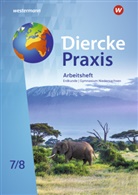 René Nabi Alcántara, Verena Flammang, Martin Häusler, Christiane Meyer, Stephanie Mittrach - Diercke Praxis SI Erdkunde - Arbeits- und Lernbuch