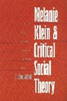 C. Alford, C. Fred Alford, Alford C. Fred - Melanie Klein and Critical Social Theory