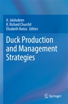Elisabeth Baéza, R. Richard Churchil, A. Jalaludeen, R Richard Churchil - Duck Production and Management Strategies
