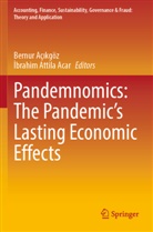 Bernur Aç&amp;305;kgöz, Bernur Aç¿kgöz, &amp;brahim Attila Acar, ¿brahim Attila Acar, Ibrahim Attila Acar, Bernur Açikgöz... - Pandemnomics: The Pandemic's Lasting Economic Effects