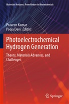 Devi, Pooja Devi, Praveen Kumar - Photoelectrochemical Hydrogen Generation