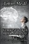 John Medl - Workings of a Bipolar Mind 1-7 Omnibus