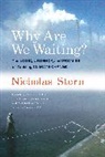Nicholas Stern - Why Are We Waiting?