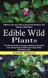 Chad Wells - Edible Wild Plants