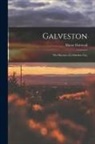 Murat Halstead - Galveston: The Horrors of a Stricken City