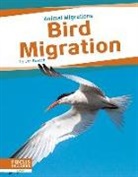 Jen Breach - Bird Migration