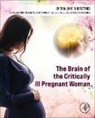 Jorge Hidalgo, Carlos Montufar, Carlos (Head of the Obstetrics Intensive Care Unit Montufar, Montufar Carlos, Javier Perez-Fernandez, Javier Pérez-Fernández - The Brain of the Critically Ill Pregnant Woman