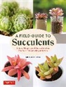 Matsuyama, Misa Matsuyama - A Field Guide to Succulents