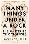 David Scheel - Many Things Under a Rock