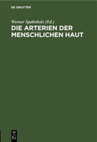 Werner Spalteholz - Die Arterien der menschlichen Haut