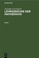 Alexander Von Forstner - Alexander von Forstner: Lehrgebäude der Mathematik - Band 1: Lehrbuch der niederen Arithmetik