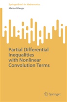 Marius Ghergu - Partial Differential Inequalities with Nonlinear Convolution Terms