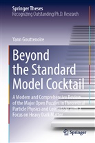Yann Gouttenoire - Beyond the Standard Model Cocktail