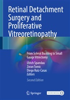 Diego Ruiz-Casas, Ulrich Spandau, Zoran Tomic - Retinal Detachment Surgery and Proliferative Vitreoretinopathy