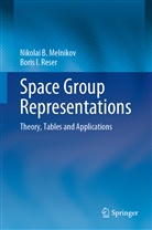 Nikolai B Melnikov, Nikolai B. Melnikov, Boris I Reser, Boris I. Reser - Space Group Representations