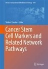 Shihori Tanabe - Cancer Stem Cell Markers and Related Network Pathways