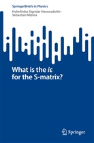 Holmfridur Sigridar Hannesdottir, Sebastia Mizera, Sebastian Mizera - What is the i  for the S-matrix?